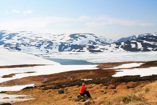Hochgebirgsstraße mit Sonne