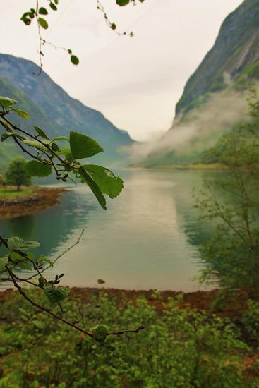 Naeroyfjord