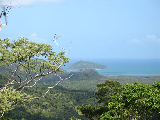 Cape Tribulation vom Rex Lookout