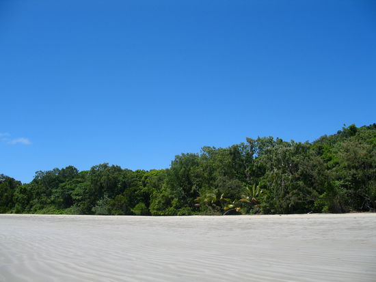 ...where rainforest meets the reef