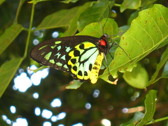 und nochmal mit Zoom.....