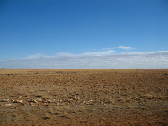 Eine typische Sicht aus dem Busfenster