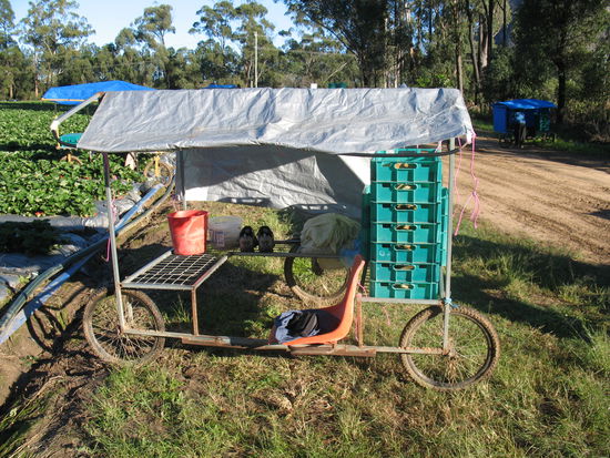 mein persoenlicher "trolley"
ich glaub' ich meld mich mal bei:
"pimp my ride"