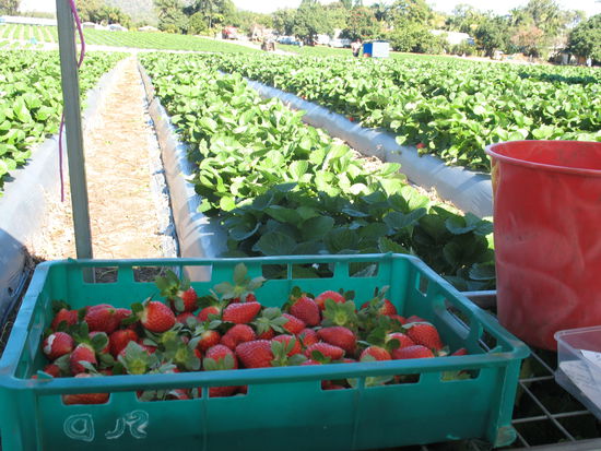 meine aussicht fuer 8 stunden