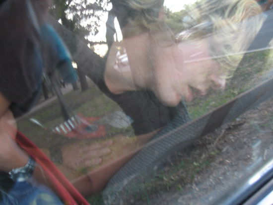 Der Morgen danach...Tobi verpasst Hervey Bay und Vic Hislops Shark Museum...