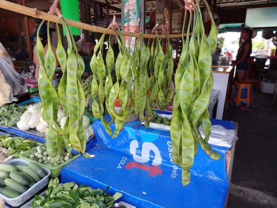 Haricot Amer, Stink Beans