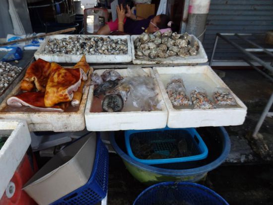 Über die Auslage von Fleisch und Fisch auf den märkten sollte man sich besser keine Gedanken machen. Fisch wird eher im Eisbett ausgelegt, als Fleisch, keine Ahnung warum, aber hier wird alles verkocht und somit wird man davon auch nicht krank, wir jedenfalls nicht. 