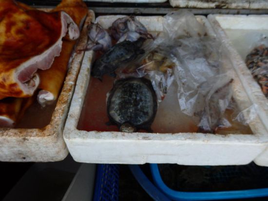 Ja, hier scheint man auch Eßbares anzubieten, was eigentlich nicht mehr auf eine Speisekarte gehören sollte!