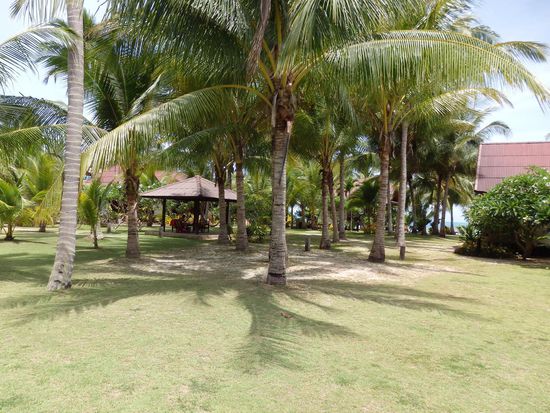 Super tolle und gepflegte Gartenanlage