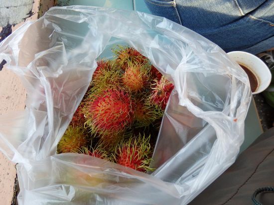 Wir haben uns 1kg Litschys für 50B als Reiseproviant gekauft. Frischer geht es nicht.