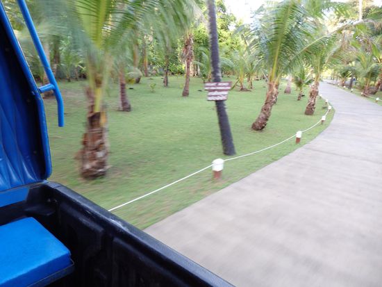 Ein letzter Blick aus dem Sammeltaxi.......