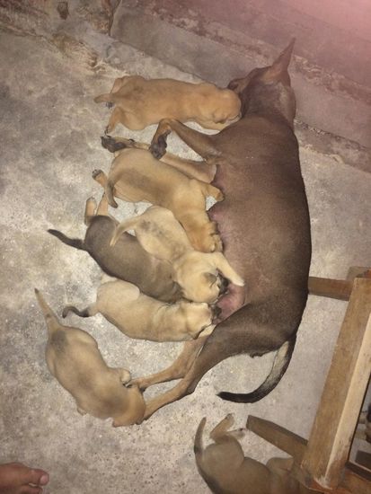 Gerade mal 3 Wochen alt, sehr süß.