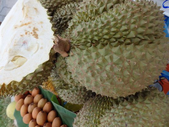 Ja, nicht Jedermanns Sache, die Durian Frucht. Entweder man liebt oder hasst sie, ein Mittelding gibt es da nicht. Wir haben sie probiert und uns nach einem Bissen für das 2. entschieden.