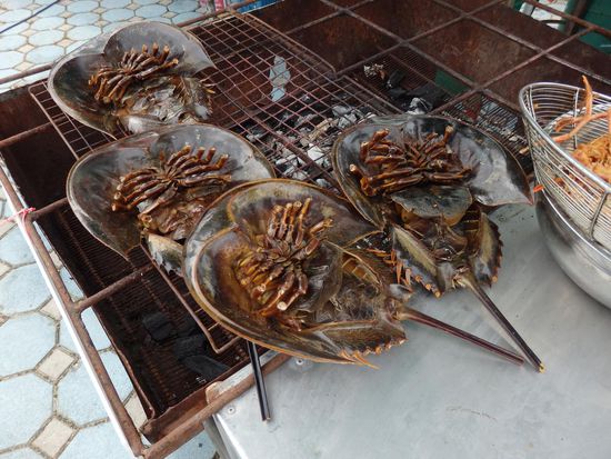 Riesenkrebse, sehen etwas unheimlich aus. Wir haben sie nicht probiert.