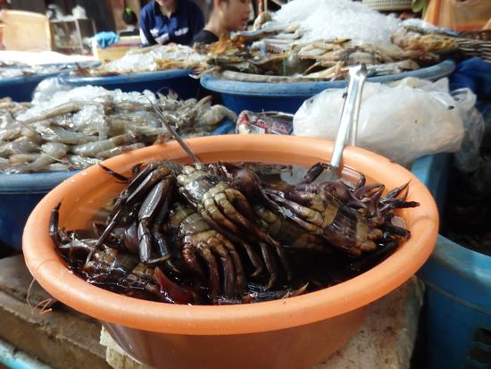 Krebse sollen hier eine Delikatesse sein, wir hatten bis jetzt noch keine, aber das kommt sicher noch.