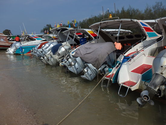 Welches nehmen wir???????