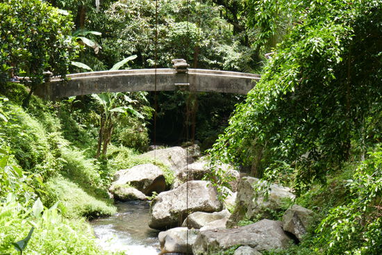 Blick in die Schlucht.