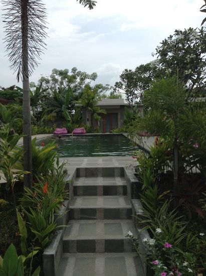 Der Pool.... Und man glaubt nicht, dass die Anlage erst so kurz in Betrieb ist. Die meisten Pflanzen und Bäume wurden schon groß gekauft und eingepflanzt.