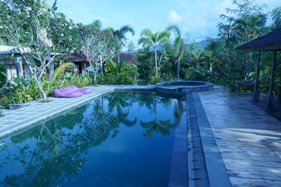 Alles super sauber und gepflegt. Eine Oase zum Wohlfühlen.