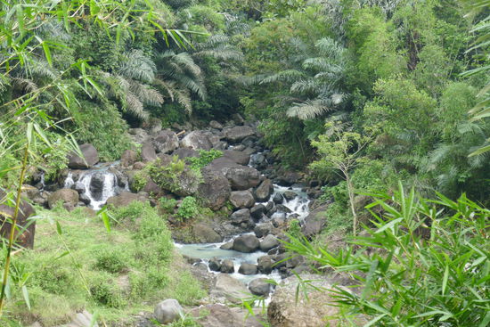 Ein wirklich kleiner Ausläufer eines Wasserfalls.