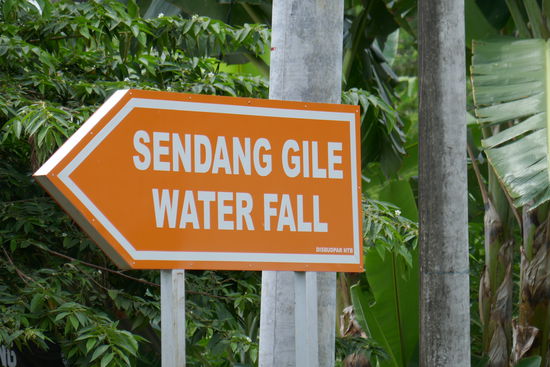 Diese Richtung.... Erstmal wieder über Stolpersteine und Treppen hinab in den Dschungel.