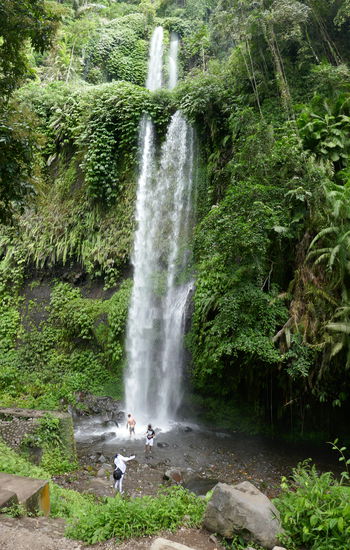 Ankunft am Wasserfall 1. Dieser war recht leicht zu erreichen nach ca. 15 Minuten waren wir schon da. Eckhard hat das Wasser mal getestet und es für sehr kalt empfunden. Hier gab es Essensstände und wir haben uns frittierte Bananen gekauft. Als wir losgelaufen sind, wurden Affen auf unser Essen aufmerksam. Angelika hat schnell reagiert und ihm einen Happen abgegeben und schon waren wir weg.