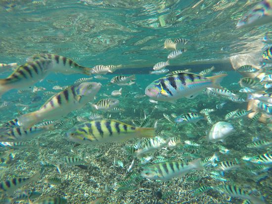 Unter Wasser.... wunderschön....
