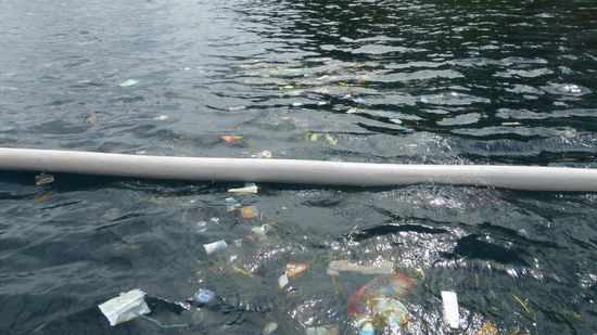 Leider ist auch das die Realität und wir konnten uns nicht überwinden, dort ins bzw. unter Wasser zu gehen..... sehr sehr schade.