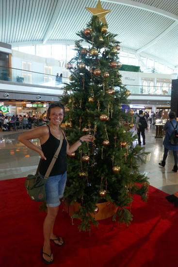 Einstimmen auf Weihnachten in 14 Tagen ist der 1. Advent.