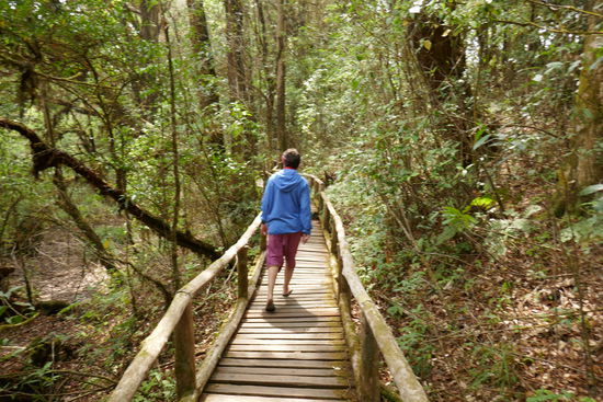 Man kann hier oben einen kleinen Rundweg gehen und es gibt Schilder auf denen die Gewächse hier erklärt werden.