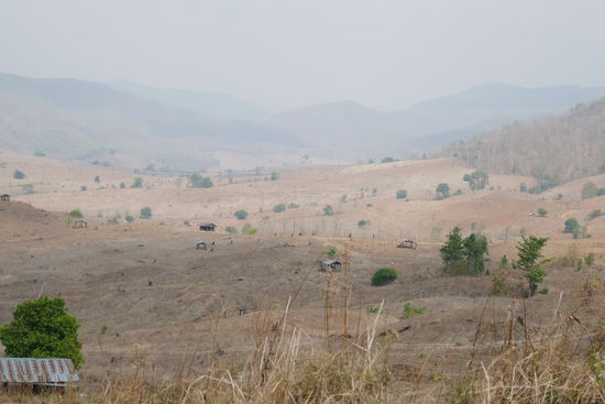 Über kilometerweite Strecken wird wertvoller Wald zu Ackerland bereitet, an vielen Stellen qualmt oder es lodert noch. Für die Menschen hier scheint es gut zu sein, doch glaube ich, dass so viel Agrarland nicht von Hand bewirtschaftet werden kann, so wie es zurzeit noch getan wird. Schade!