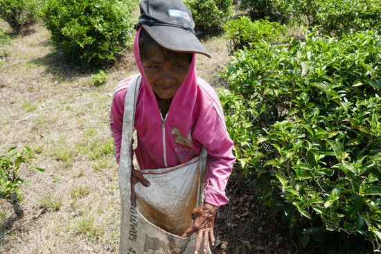 Hier spricht man nur die eigene Sprache, aber man versteht sich auch so.
