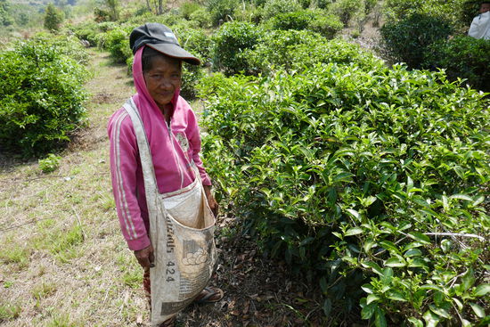 Unvorstellbar für uns, bei dieser brütenden Hitze den ganzen Tag zu arbeiten....