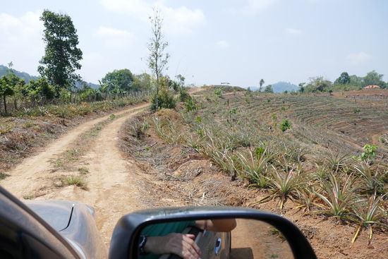 Der Weg auf der ehemaligen Befestigungslinie der Kuomintang, hier gibt es auch ein Museum, das war leider verschlossen.