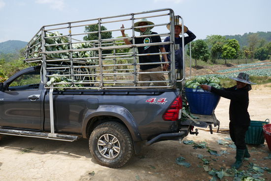 Es wird umgeladen, vom Pick Up in den LKW.
