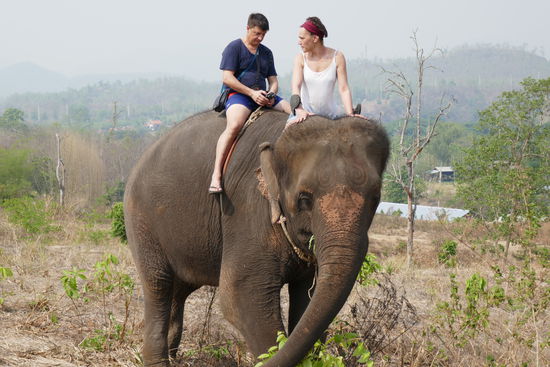 Unsere 25 Jahre alte Lady hat immer Hunger, da kommt man gerne mal vom Weg ab.