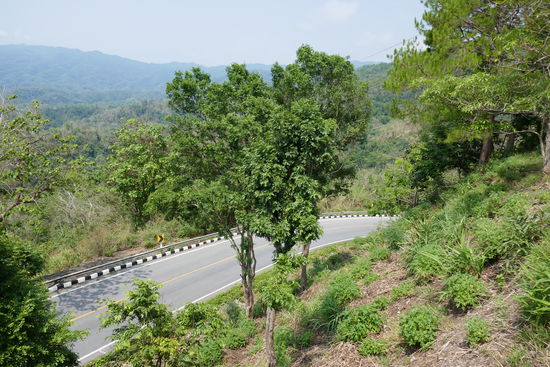 Das war der schönste, grünste und naturbelassenste Abschnitt, der gesamtem Strecke.