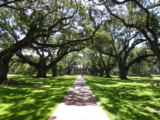 Twelve Oaks