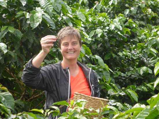 Kaffeepflücker werden immer gesucht