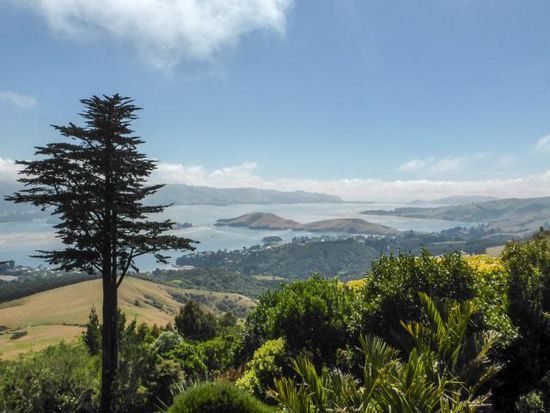 Blick auf die Otago Halbinsel