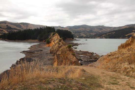 Spaziergang auf der Banks Peninsula