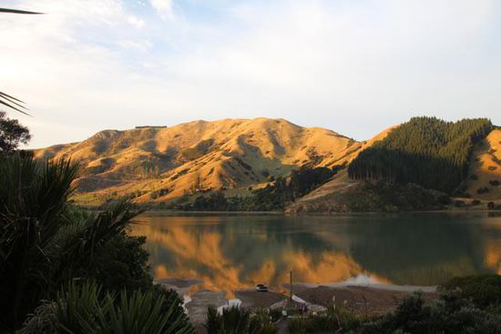 Die Cable Bay - Aussicht von unserem Baumhaus