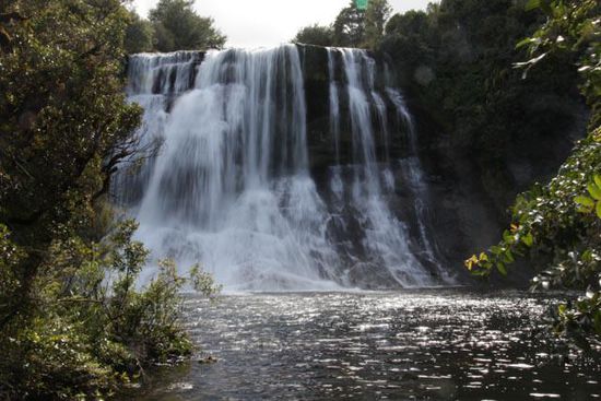 Urewa NP