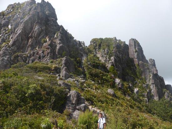 Die Pinnacles - wenn Ihr genau schaut, seht ihr eine Leiter in der Mitte des Bildes, der Wanderweg führt dann noch weiter bis an die Spitze der Felsen.