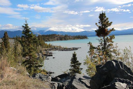 Im Anschluss noch ein paar Eindrücke vom Kluane Nationalpark...