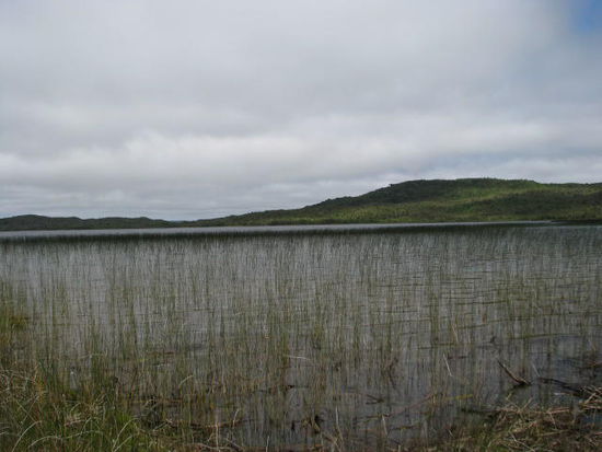 Im Naturpark ist ein Campingplatz mit einem See, dort paddle ich mit meinem Führer.