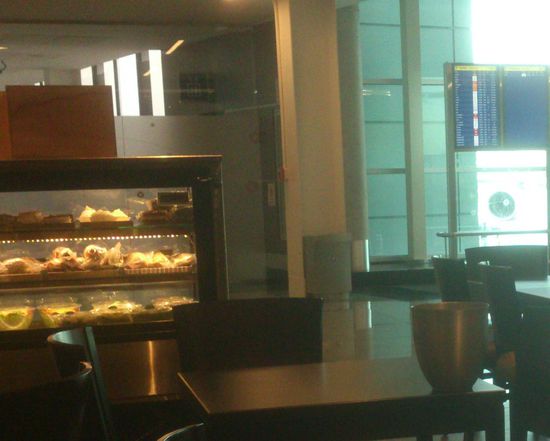 Auffangbehälter für Regenwasser