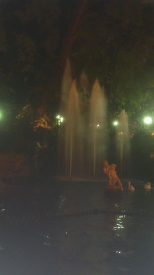 Ein Brunnen im Stadtgarten, sogar mit Schwänen.