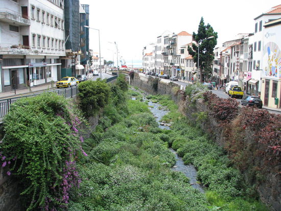 Auch die Kanäle sind gut bewachsen.