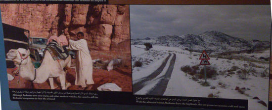 Es hätte uns noch schlimmer treffen können...: rechts die Wüste im Schnee.